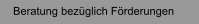 Beratung bezglich Frderungen